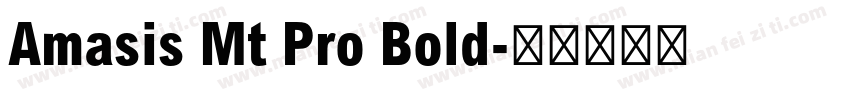 Amasis Mt Pro Bold字体转换